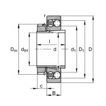 Bantalan 2219-K-M-C3 + H319 FAG