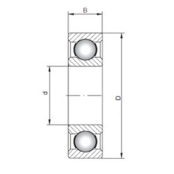 Bantalan 6040 CX