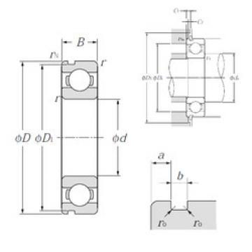 Bantalan 6224N NTN