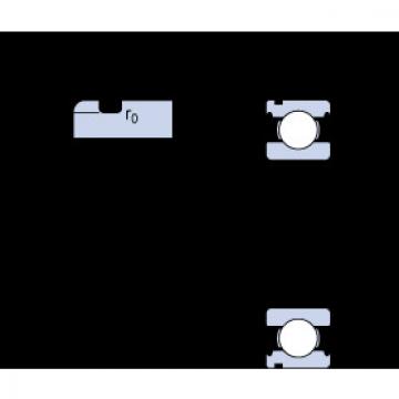 Bantalan 6204 N SKF