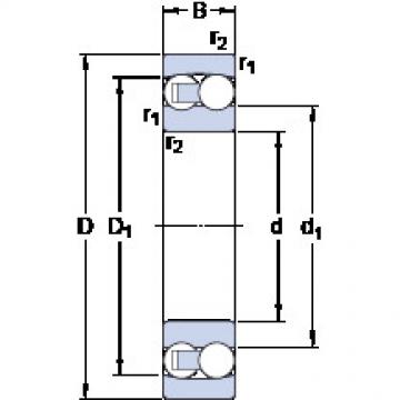 Bantalan 2219 SKF