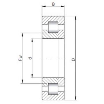 Bantalan NUP1005 ISO