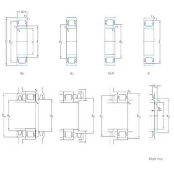 Bantalan NJ305ECP SKF