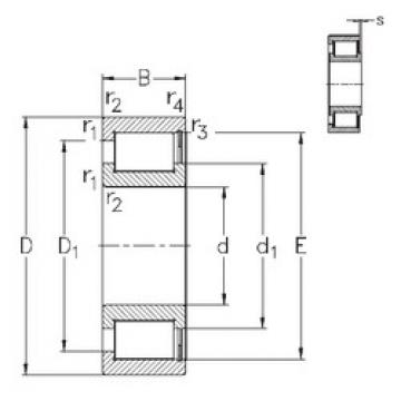 Bantalan NCF3036-V NKE