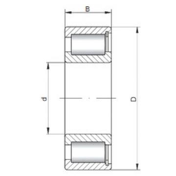 Bantalan NCF2917 V CX