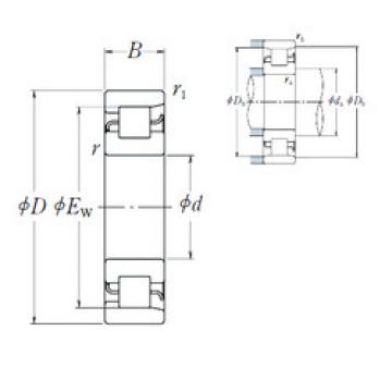 Bantalan NF 248 NSK