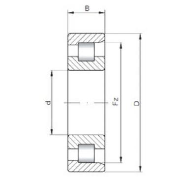 Bantalan NF207 ISO