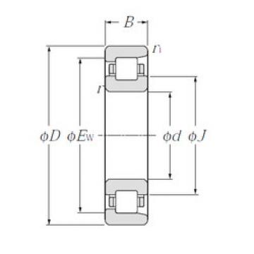 Bantalan NF224 NTN