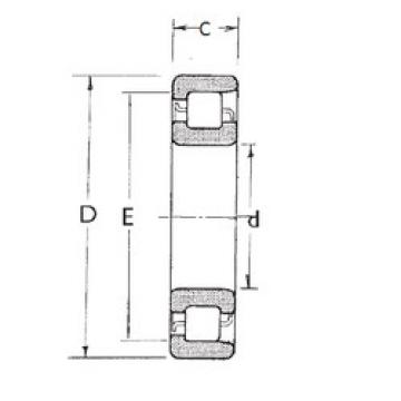 Bantalan NF317 FBJ