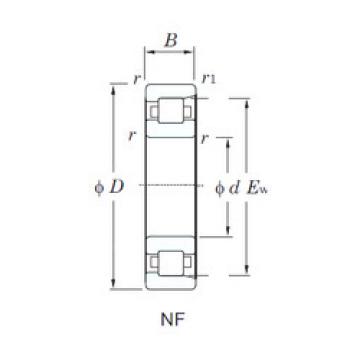 Bantalan NF240 KOYO