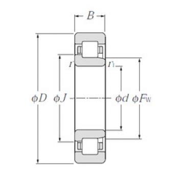 Bantalan NJ304E CYSD