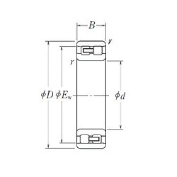 Bantalan NN 3012 NSK