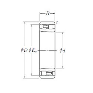 Bantalan NN 3005 K NSK