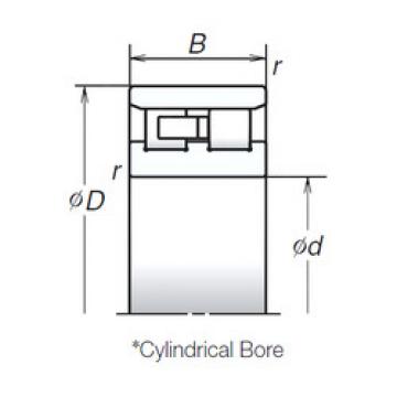 Bantalan NN3024ZTB NSK