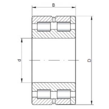 Bantalan SL014864 ISO