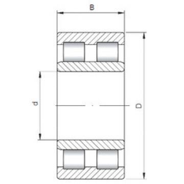 Bantalan NNU4988 V ISO