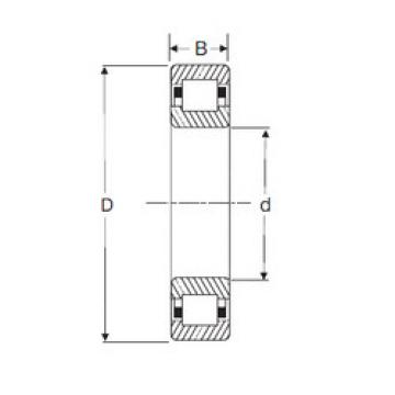 Bantalan NUP 206 SIGMA