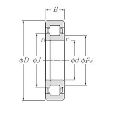 Bantalan NUP236E NTN