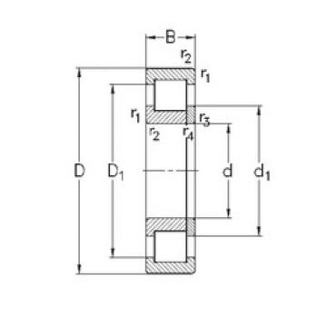 Bantalan NUP220-E-MA6 NKE