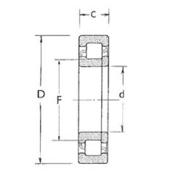 Bantalan NUP407 FBJ