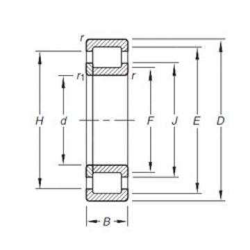 Bantalan NUP204E.TVP Timken