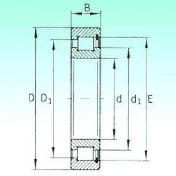 Bantalan SL183026 NBS