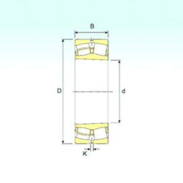 Bantalan 24124 K30 ISB