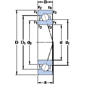 Bantalan 7013 ACE/P4A SKF