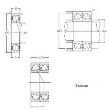 Bantalan 7019DT NTN