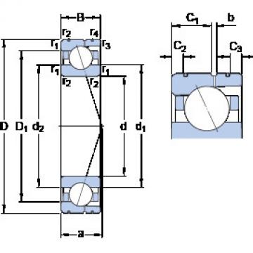 Bantalan 7019 ACD/P4AL SKF