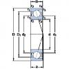 Bantalan 7002 CD/P4A SKF