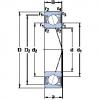 Bantalan S71902 ACD/HCP4A SKF