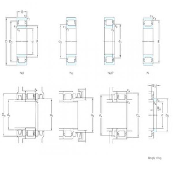 Bantalan NJ305ECP SKF #1 image