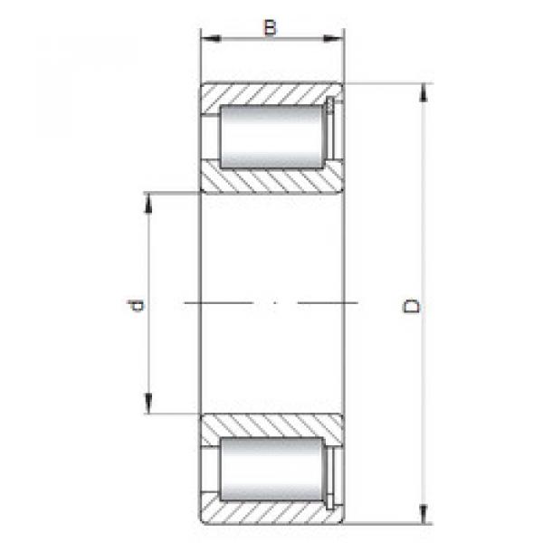 Bantalan NCF2917 V CX #1 image