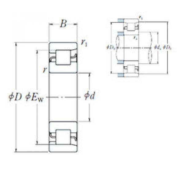 Bantalan NF 248 NSK #1 image