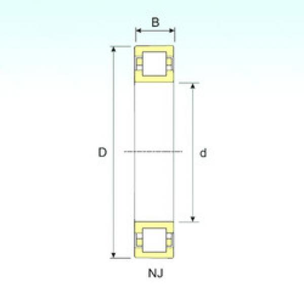 Bantalan NUP 204 ISB #1 image