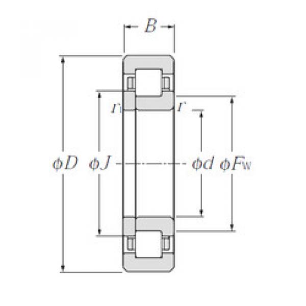 Bantalan NUP209E NTN #1 image