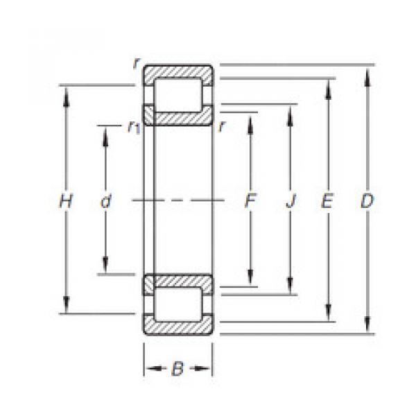 Bantalan NUP304E.TVP Timken #1 image